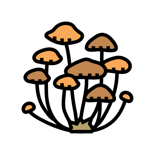 Psychedelic Research community icon