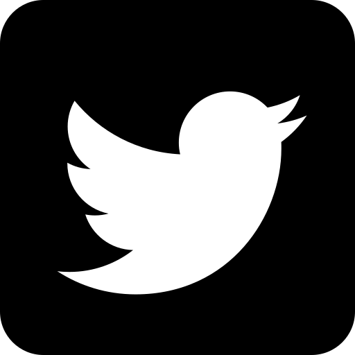 Twitter icon